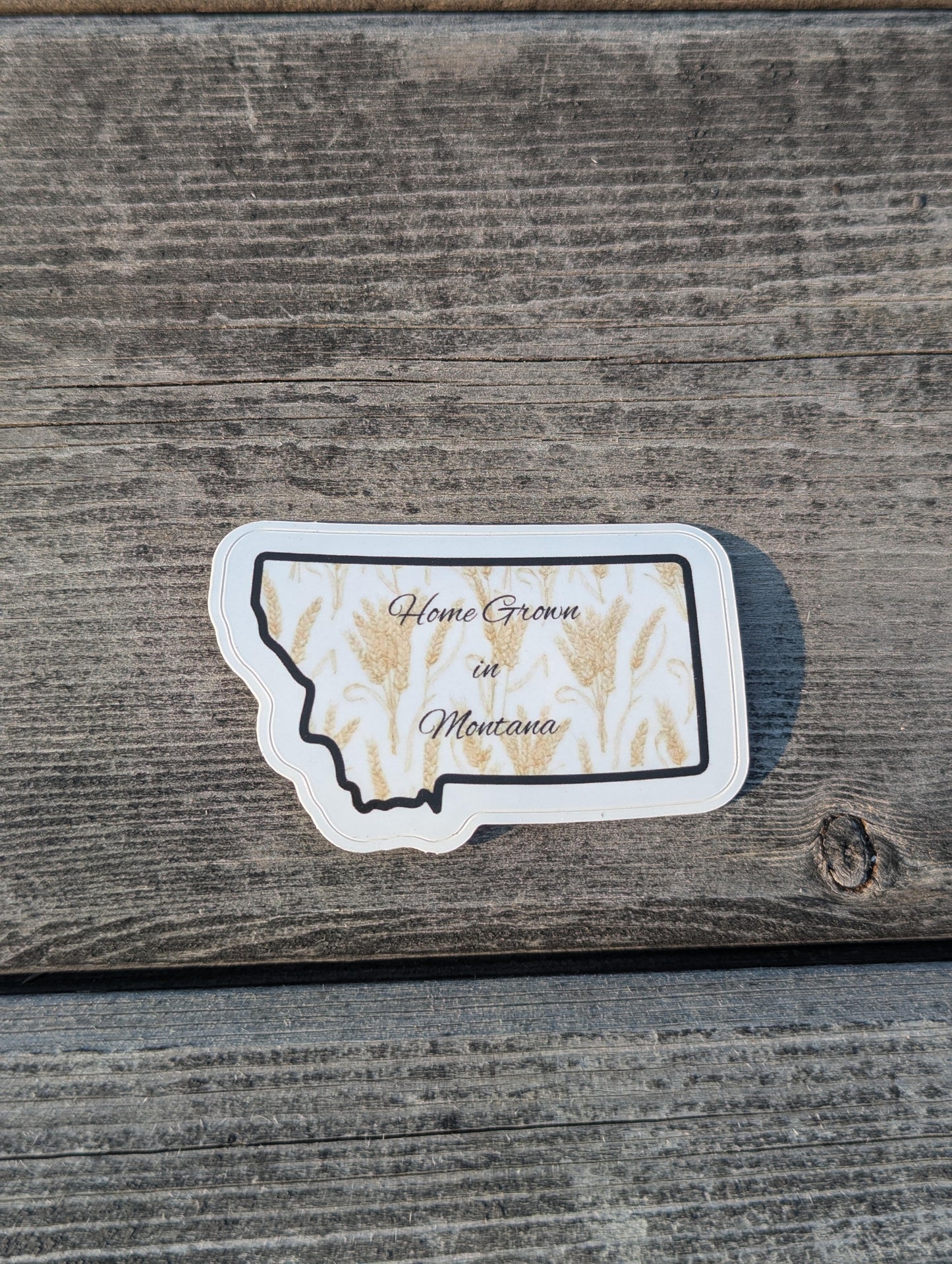 Home Grown in Montana Sticker