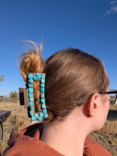 Dark Brown Faux Turquoise Claw Clip- Large