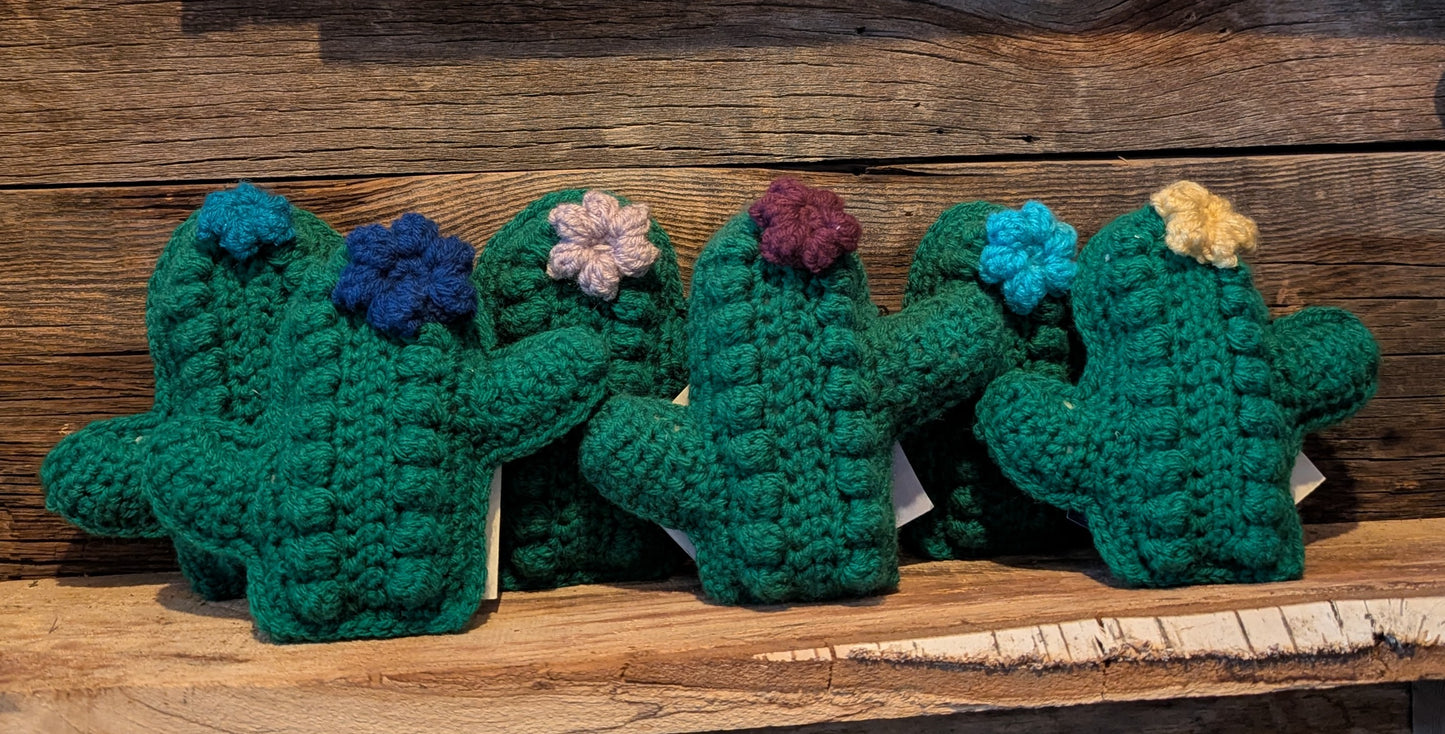 Blue Mini Cactus