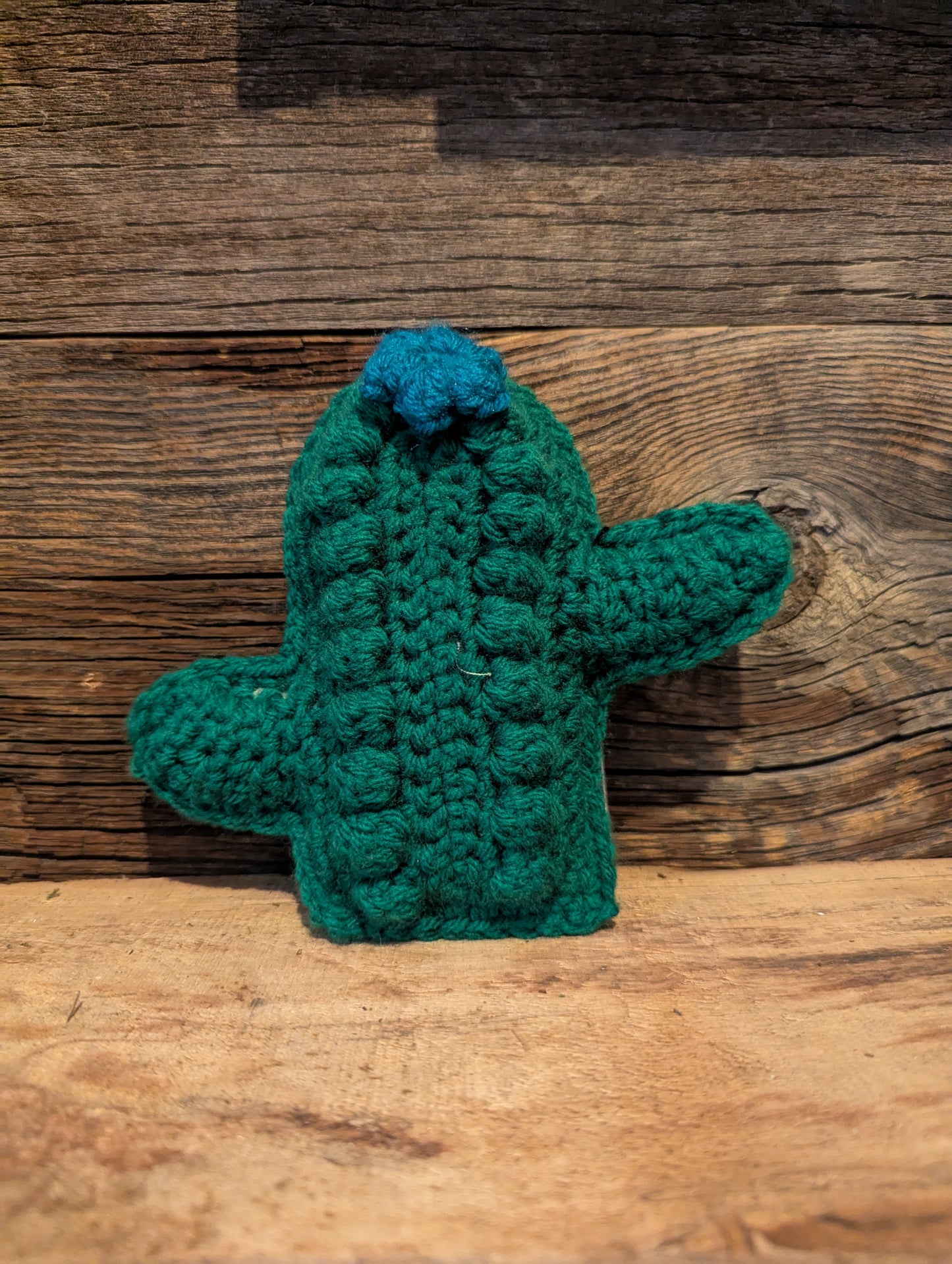 Medium Blue Mini Cactus