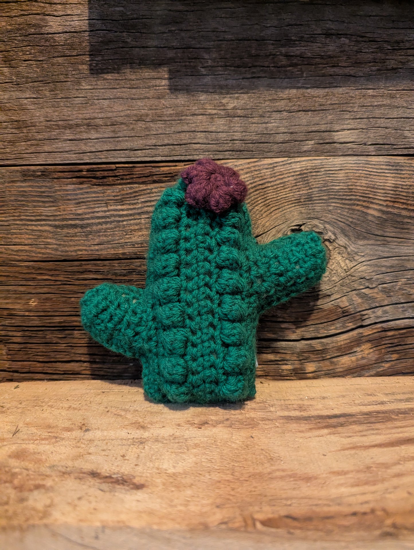Dark Purple Mini Cactus