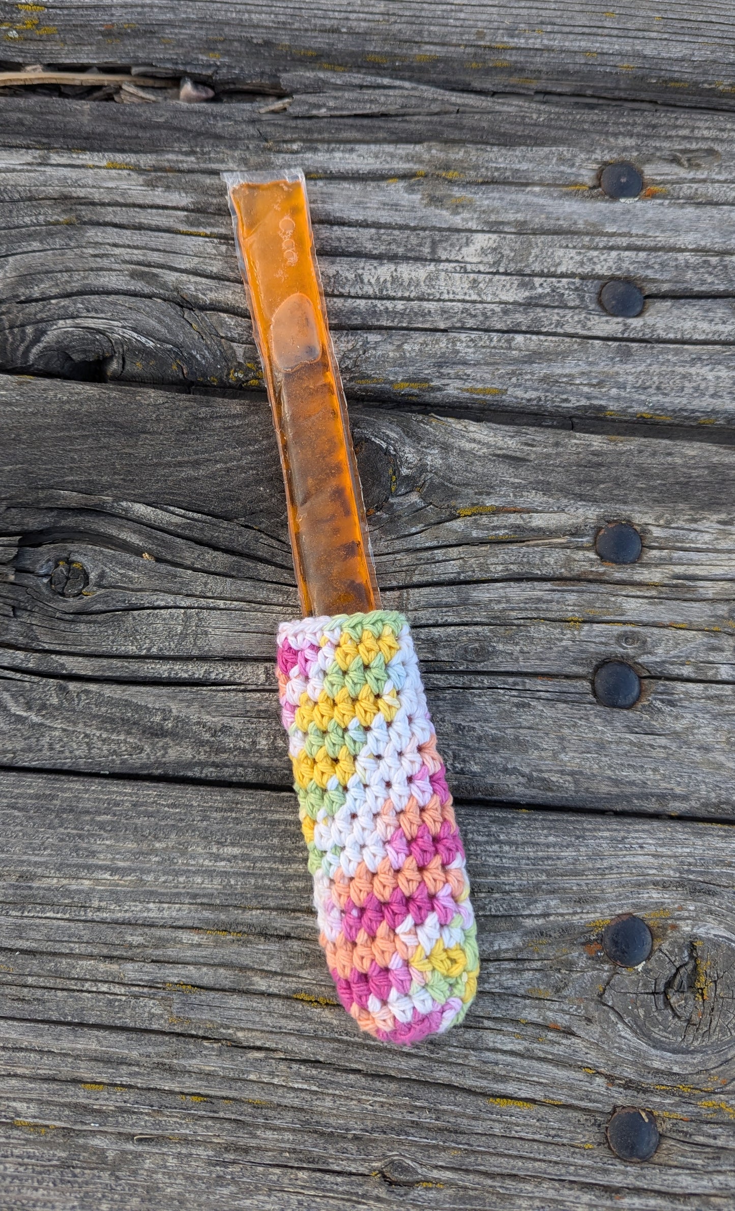 Springtime Popsicle Holder