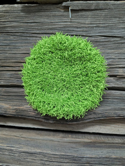 Lime Dish Scrubby
