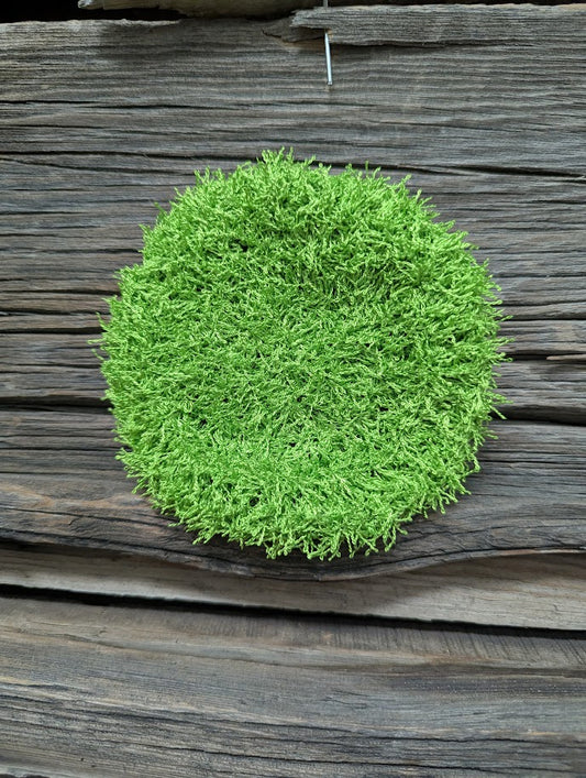 Lime Dish Scrubby