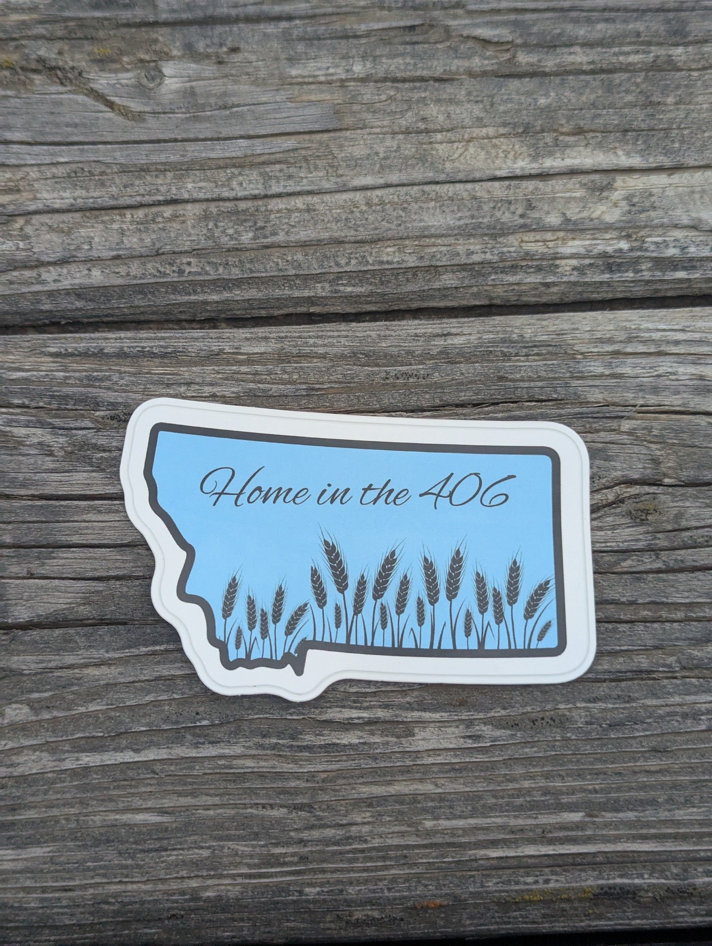 Home in the 406 Montana