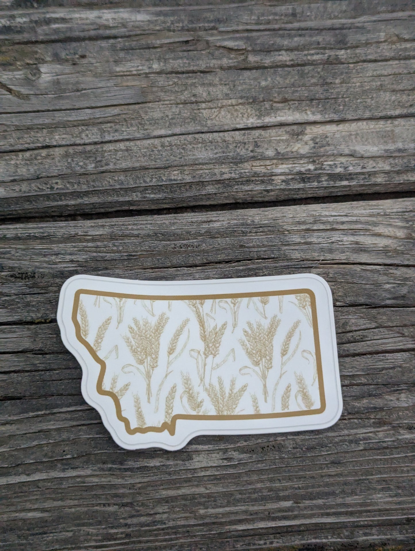 Wheat in Montana